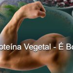 A Proteína Vegetal – É Boa??